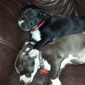 Meet your Posher, Vince